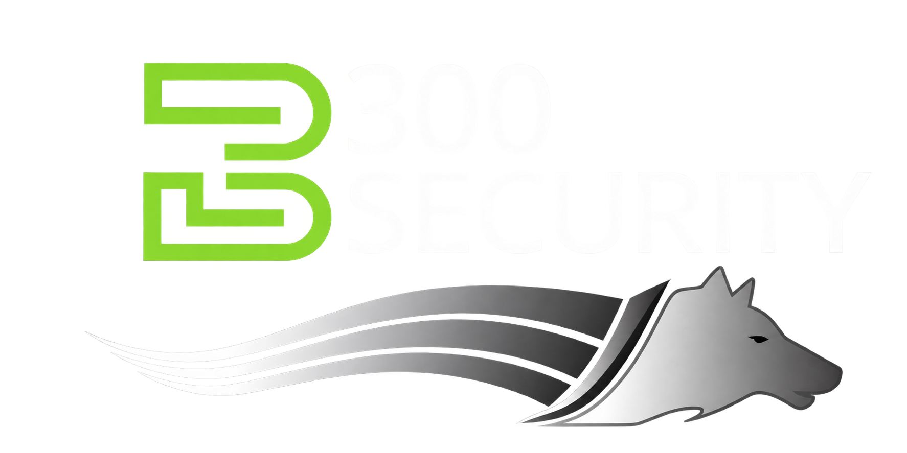B300 Security logo